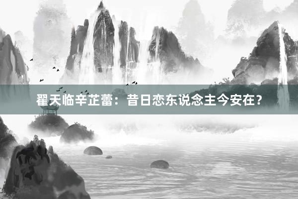 翟天临辛芷蕾:昔日恋东说念主今安在?